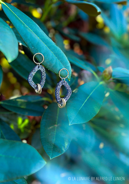 Boucles d'oreilles | Vega