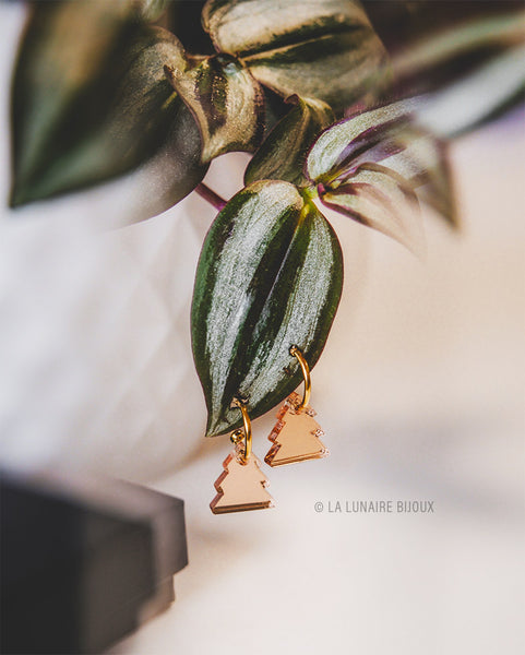 Boucles d'oreilles | Liéchi