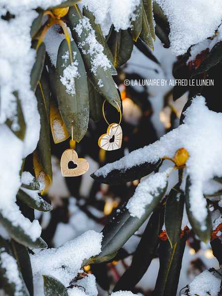 Boucles d'oreilles | Vénus