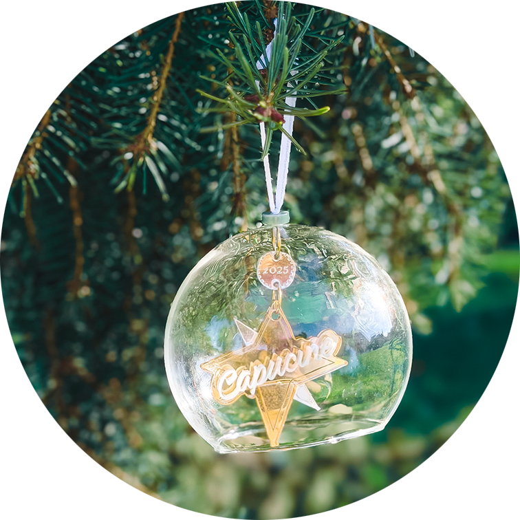 Boule de Noël | Etoile du Nord