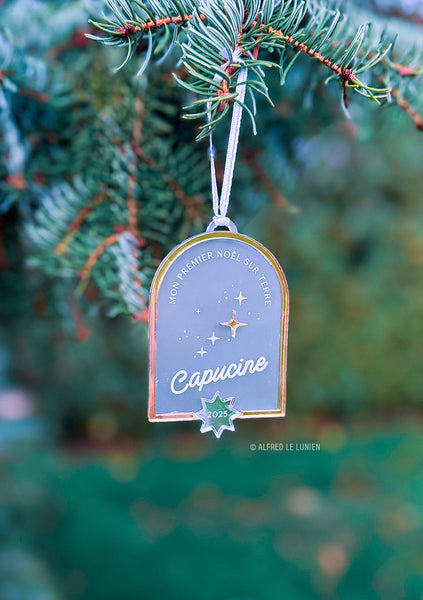 Boule de Noël | Constellations