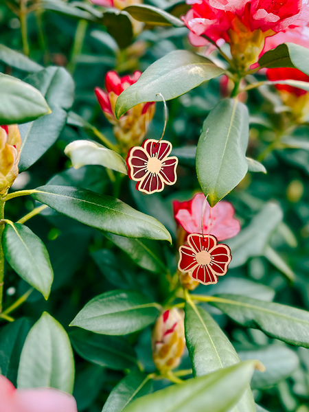 Boucles d'oreilles | Pénéllaphe