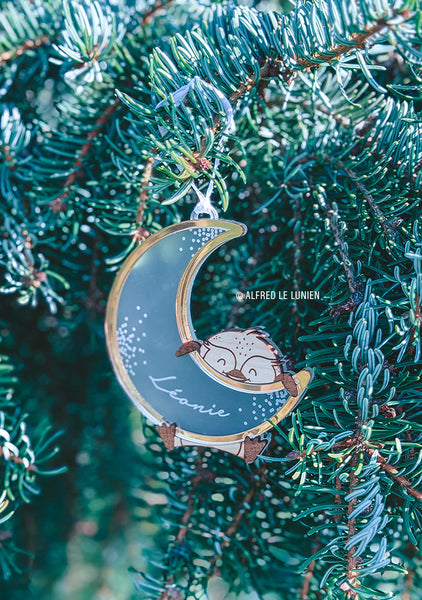 Boule de Noël “Mon premier Noël” | Pingouin